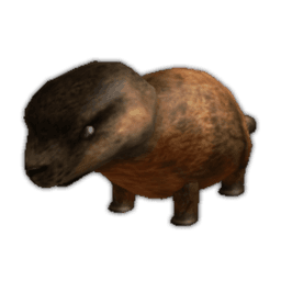 Groundhog