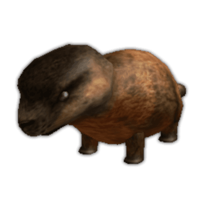 Groundhog