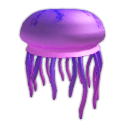 Jellyfish