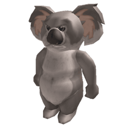 Koala