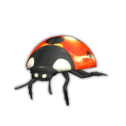 Ladybird