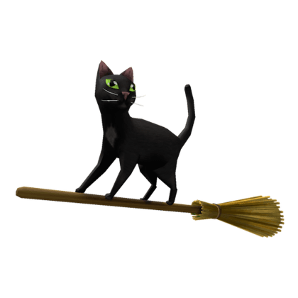 Magic Broom Cat