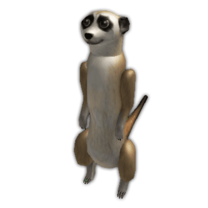 Meerkat