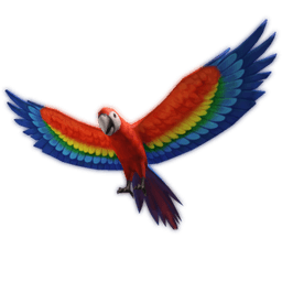 Motley Parrot