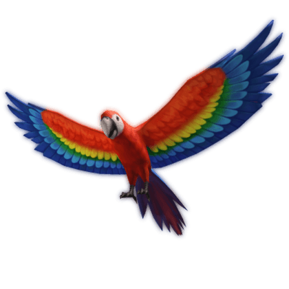 Motley Parrot