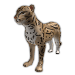 Ocelot
