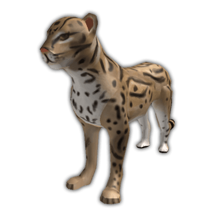 Ocelot