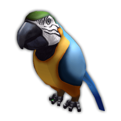 Parrot