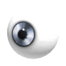 Platinum Eye