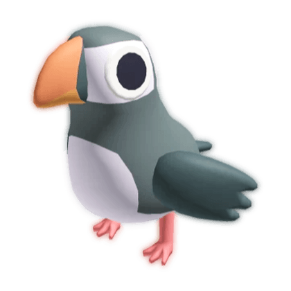 Puffin