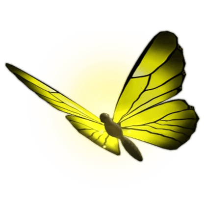 Radiant Butterfly