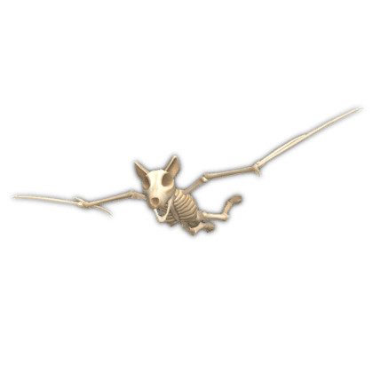 Skeleton Bat