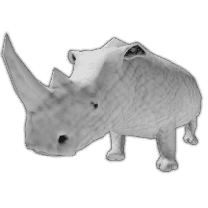 White Rhino