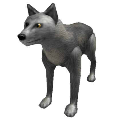 Wolf