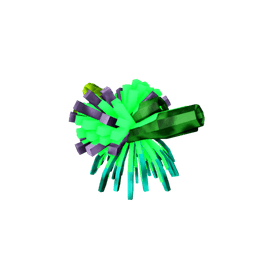 Bio-Infused Coral