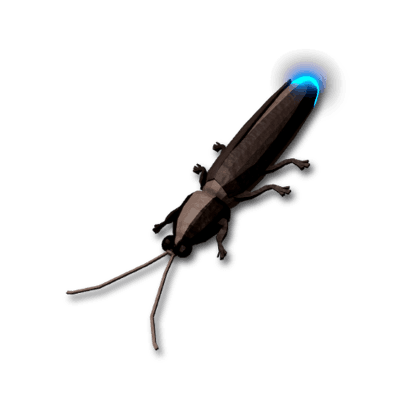 Blue Ghost Firefly