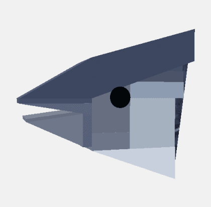 Fish Head