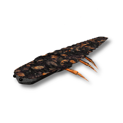 Glowworm