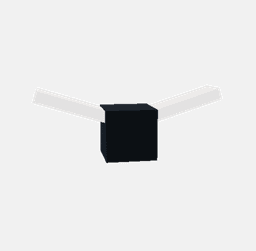 Insect