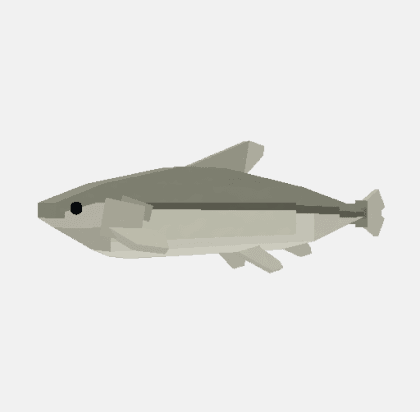 Minnow