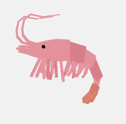 Shrimp