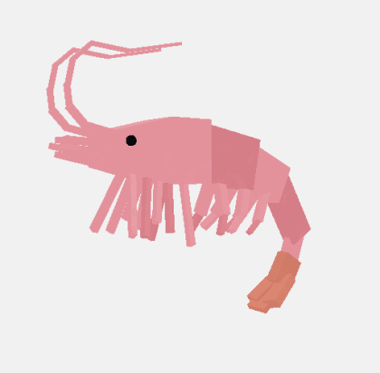 Shrimp