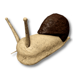 Snail