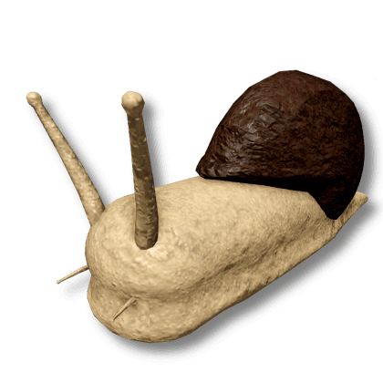 Snail