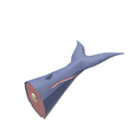 Blue Whale Bobber
