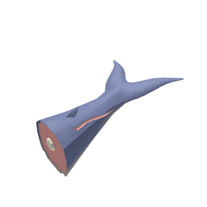 Blue Whale Bobber