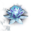 Frigid Lotus