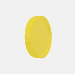 Gold Coin