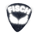 Guitar Pick