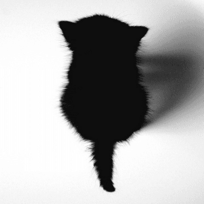 kittyyy