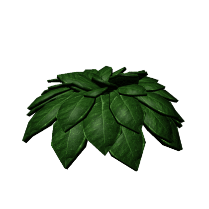 Moss