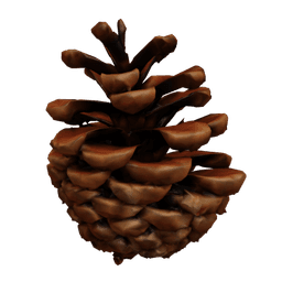 Pinecone Bobber