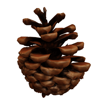 Pinecone Bobber