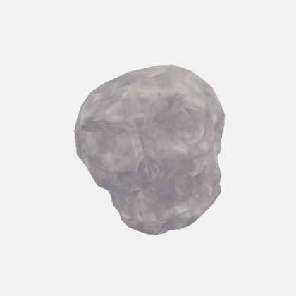 Skeleton