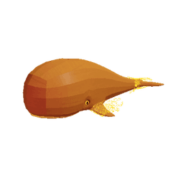 Treasure Whale
