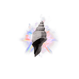 Tropical Conch