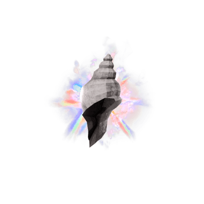 Tropical Conch