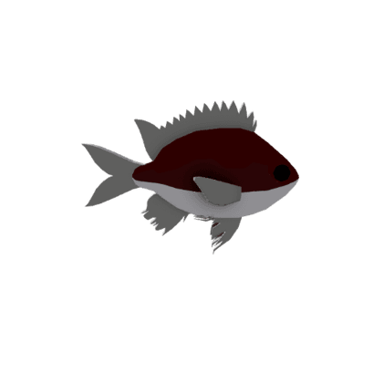 Abadhah Chromis