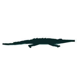 Alligator