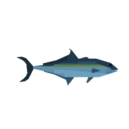 Amberjack