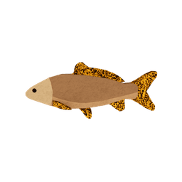 Amberleaf Carp