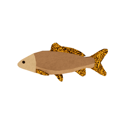 Amberleaf Carp