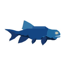 Amblypterus