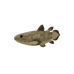 Ancient Coelacanth