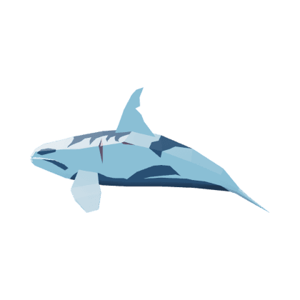 Ancient Orca
