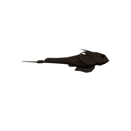 Andaman Shortnose Chimaera